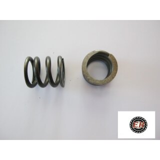 Feder für Hydraulikhebel