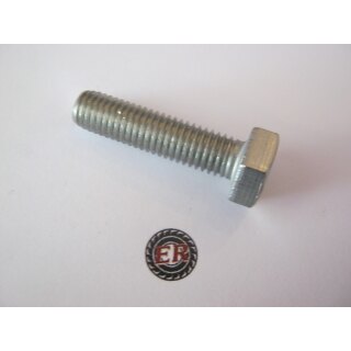 6 Kantschraube A2-70 10X80