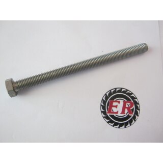 6 Kantchraube A2-70 12X160