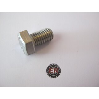 6 Kantschraube A2-70 12X20