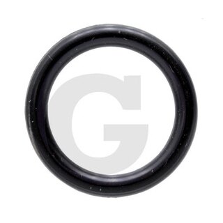 Dichtring