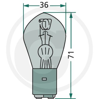 Glühlampe 12V45/40WS / S2