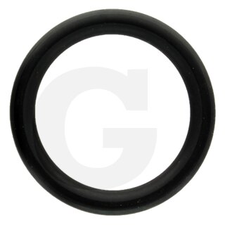 O-Ring 30x5